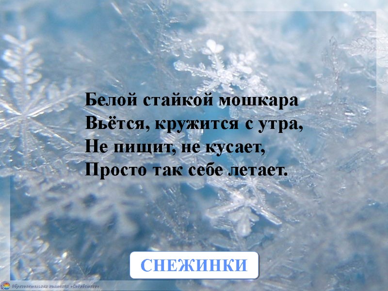 Белой стайкой мошкара Вьётся, кружится с утра, Не пищит, не кусает, Просто так себе